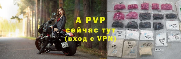 крисы Армянск