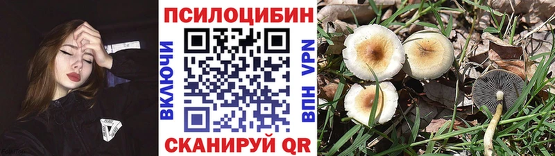 Псилоцибиновые грибы GOLDEN TEACHER купить наркотики сайты Ступино
